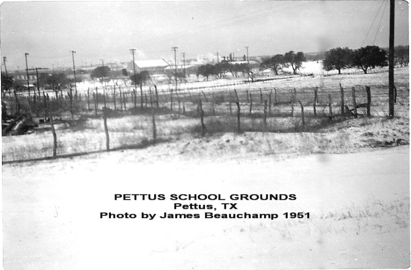 Pettus School, 1951, Bee county, Texas