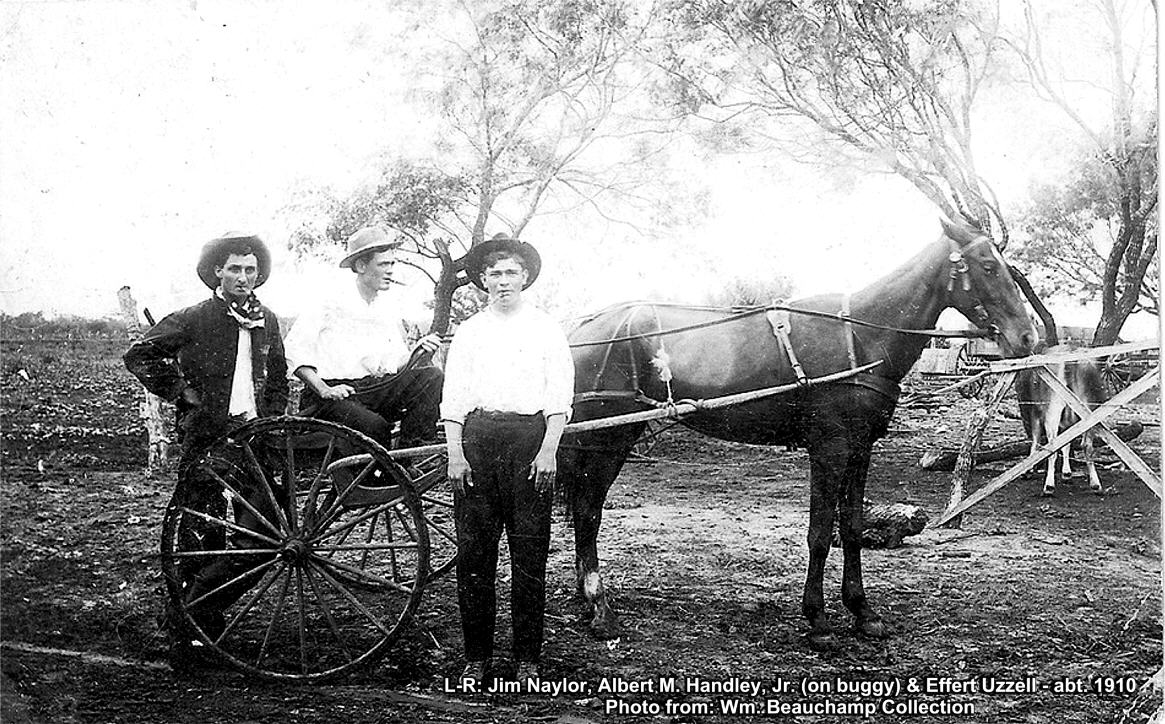Naylor, Handly and Uzzell, Bee County, Texas