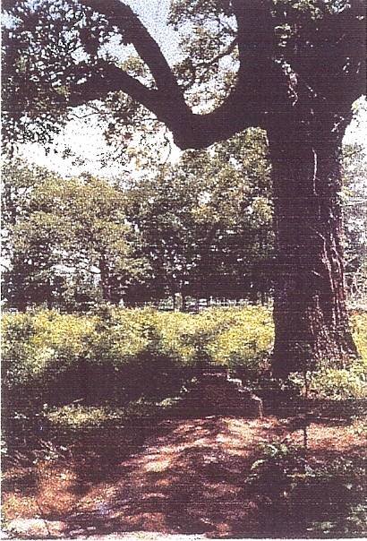 Brazos Bottom Baptist Cemetery, Burleson County, Texas