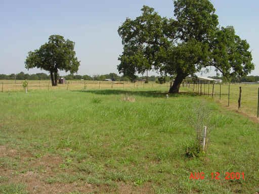 Merle Cemetery, Burleson County, Texas