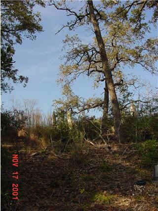 Oldham Cemetery, Burleson County, Texas