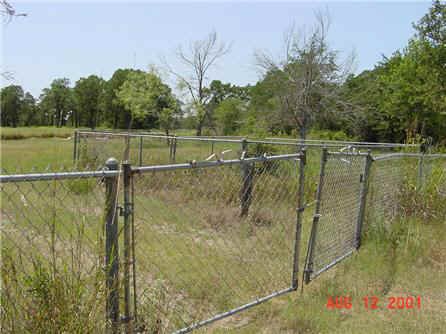 Wilcox Cemetery, Burleson County, Texas