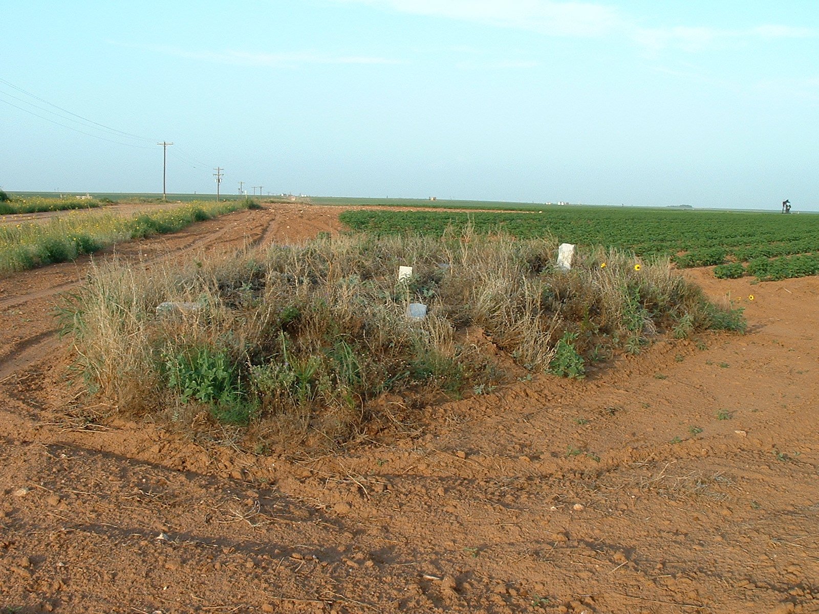 Plainview Cemetery, Dawson County, Texas