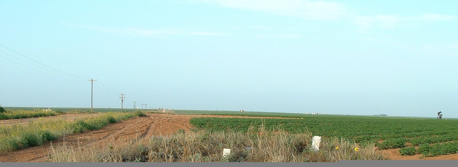 Plainview Cemetery, Dawson County, Texas