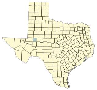 texas map