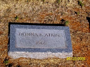 Adkins, Donna, Taylor County, TXGenWeb