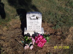 Cosby, Cecilia, Taylor County, TXGenWeb