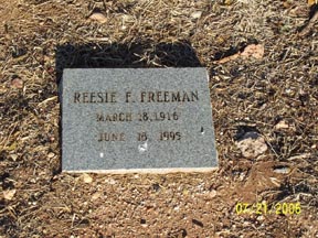 Freeman, Reesie, Taylor County, TXGenWeb