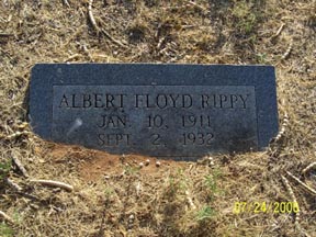 Rippy, Albert, Taylor County, TXGenWeb
