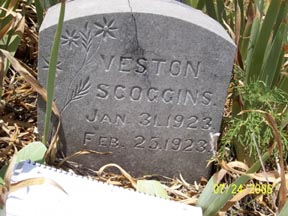 Scoggins, Veston, Taylor County, TXGenWeb