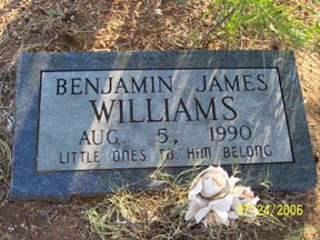 Williams, Bejamin, Taylor County, TXGenWeb