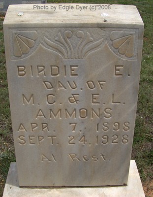 Brownfield Cemetery, Terry County, Texas