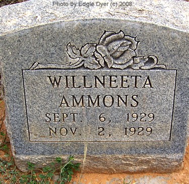 Brownfield Cemetery, Terry County, Texas