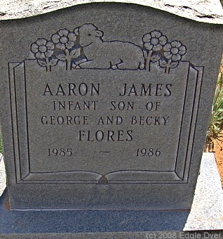 Brownfield Cemetery, Terry County, Texas
