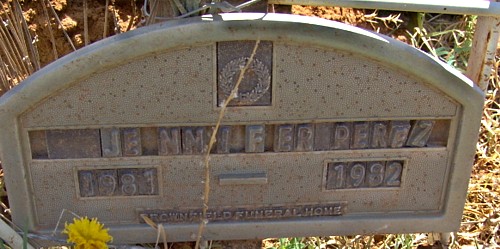 Brownfield Cemetery, Terry County, Texas