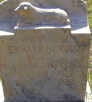 Brownfield Cemetery, Terry County, Texas