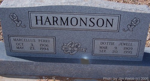 Meadow Cemetery, Terry County, Texas
