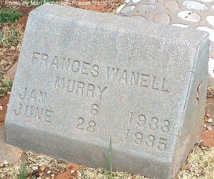 Meadow Cemetery, Terry County, Texas