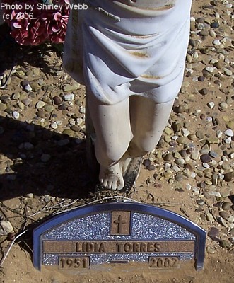 Meadow Cemetery, Terry County, Texas
