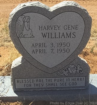 Mount Zion Cemetery #1, Terry County, Texas