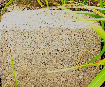 Pride Cemetery, Terry County, Texas