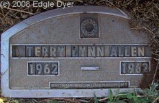 memorial Cemetery, Terry County, Texas