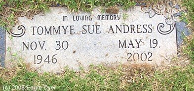 memorial Cemetery, Terry County, Texas