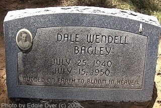 memorial Cemetery, Terry County, Texas