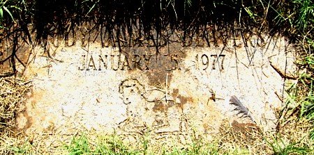 memorial Cemetery, Terry County, Texas