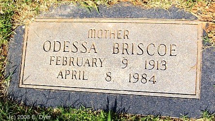 memorial Cemetery, Terry County, Texas