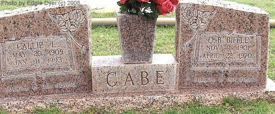 memorial Cemetery, Terry County, Texas