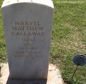 memorial Cemetery, Terry County, Texas