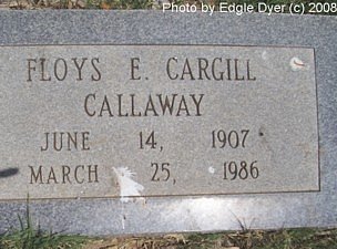 memorial Cemetery, Terry County, Texas