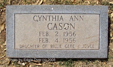 memorial Cemetery, Terry County, Texas