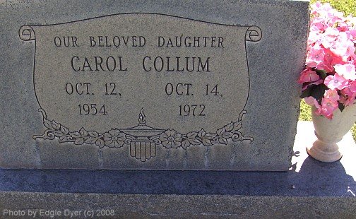memorial Cemetery, Terry County, Texas