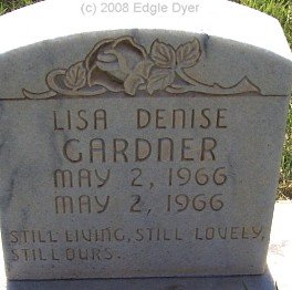 memorial Cemetery, Terry County, Texas