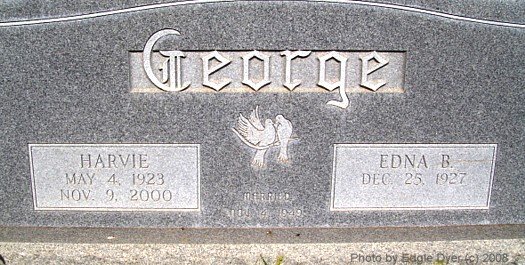 memorial Cemetery, Terry County, Texas