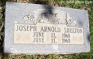 Memorial Cemetery, Terry County, Texas