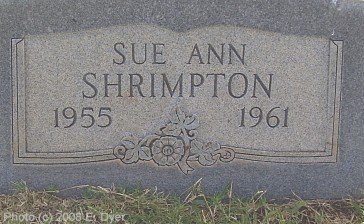 Memorial Cemetery, Terry County, Texas