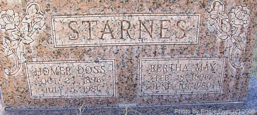 Memorial Cemetery, Terry County, Texas
