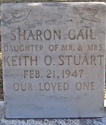 Memorial Cemetery, Terry County, Texas