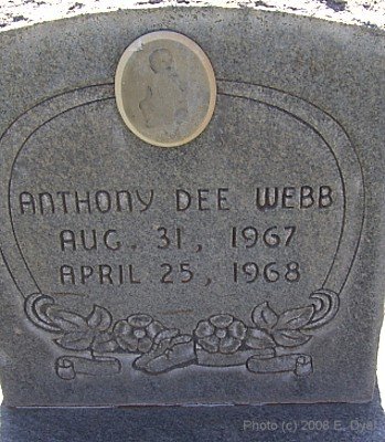 Memorial Cemetery, Terry County, Texas