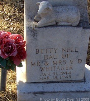 Memorial Cemetery, Terry County, Texas