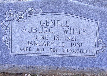 Memorial Cemetery, Terry County, Texas