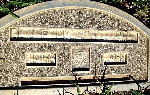 Memorial Cemetery, Terry County, Texas